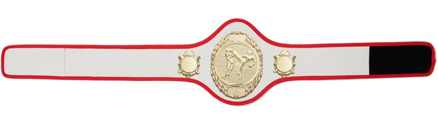 KICKBOXING CHAMPIONSHIP BELT-PRO286/G/KBOG-10+ COLOURS
